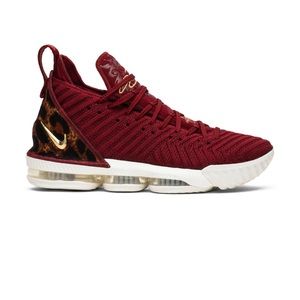Nike Lebron 16 shoes